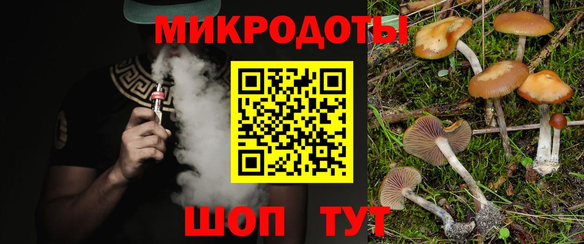 Галлюциногенные грибы Cubensis  Вход с VPN  Видное  Галлюциногенные грибы GOLDEN TEACHER 